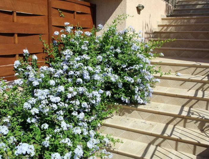 Provenzo And Meliti Villas Lourdata  Extérieur photo